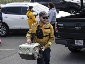 Patrick MacLennan with the Department of Natural Resources carries a cat rescued from the evacuated zone of the wildfire burning in Tantallon, N.S. outside of Halifax on Monday, May 29, 2023.