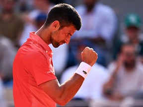 Novak Djokovic celebrates a point against Carlos Alcaraz during their men's singles semifinal match at the French Open.