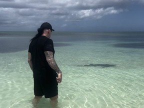 WWE legend The Undertaker stares down a shark.