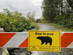 A sign warning of a bear in the area is shown in Squamish, B.C. on Friday, November 4, 2022.