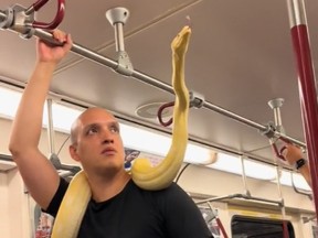 A man rides a TTC subway train with a snake wrapped around his body.