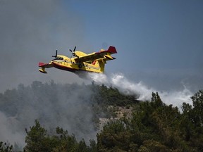 A picture taken on August 24, 2023 shows a Canadair amphibious aircraft, droping water over wildfires spreading in Dadia forest near Alexandroupoli, north Greece, on August 24, 2023.