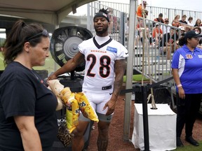 Cincinnati Bengals running back Joe Mixon (28) stays cool in front a water-misting fan in the fan section during the NFL football team's training camp Friday, July 28, 2023, in Cincinnati.