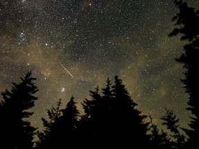 The annual Perseid meteor shower is reaching its peak this weekend. In this 30 second cameras exposure, a meteor streaks across the sky during the annual Perseid meteor shower, in Spruce Knob, West Virginia, Wednesday, Aug. 11, 2021.