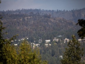 Burned trees are seen above a neighbourhood in West Kelowna, B.C., Friday, Aug. 25, 2023.