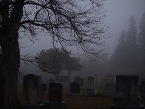Foggy night in cemetery.
