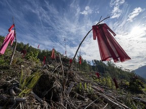 Red dresses are seen among the left over debris of a logging cut block in Fairy Creek logging area near Port Renfrew, B.C., Monday, Oct. 4, 2021.