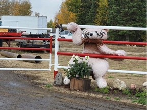 Social media photos of a rural property near Bonnyville that is displaying swastikas in sight of a public road. RCMP confirm they spoke to the property owner but said displaying the symbols is not a criminal offence.