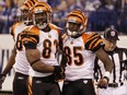 Cincinnati Bengals wide receiver Terrell Owens (81) and wide receiver Chad Ochocinco (85).