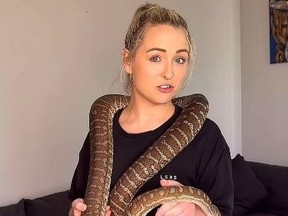 Porn star Dani Dabello and her pet python.