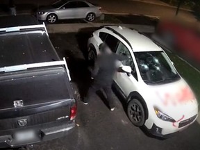 Two unidentified men are sought for spray-painting swear words on vehicles and homes in Vaughan, and for tossing a goat head through the front window of one house.