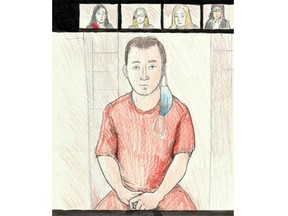 Nathaniel Veltman appears by video at a virtual court hearing on Monday, July 25, 2022.