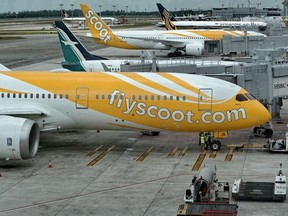 Boeing 787 Dreamliner aircraft (front and 2nd at rear) operated by long-haul budget carrier Scoot, a subsidiary of Singapore Airlines, are parked on the apron with Singapore Airlines (background) and Silkair passenger aircraft at the Changi international airport terminal in Singapore on May 28, 2015.