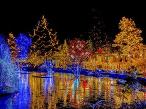 Christmas illuminations in a park around a pond at night