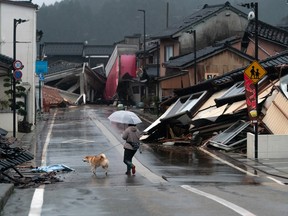 A woman walks with a dog near collapsed houses following an earthquake on January 3, 2024 in Anamizu, Japan.