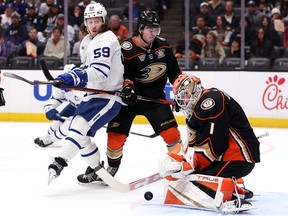 Jamie Drysdale and Lukas Dostal of the Anaheim Ducks defend against Tyler Bertuzzi of the Toronto Maple Leafs at Honda Center on January 3, 2024 in Anaheim, California.