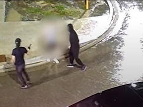 Video captured of a recent carjacking in Markham shows the bandits accosting the driver before stealing his vehicle.