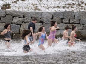 People run into the frigid water in the Northwest Arm off the Atlantic Ocean in Halifax on New Year's Day, Monday, January 1, 2024.