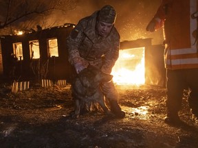 Firefighters rescue a dog as they extinguish a fire following a Russian attack on a residential neighbourhood in Kharkiv, Ukraine, Saturday, Feb. 10, 2024.
