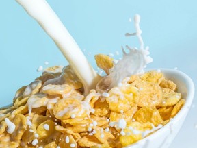 Milk is poured into a bowl of сorn flakes cereal.