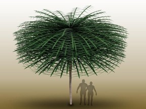 A Sanfordiacaulis model with simplified branching structure for easier visualization is shown in this handout image provided by Tim Stonesifer. Note that humans are provided for scale but did not exist concurrently with the tree.