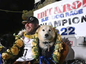 Iditarod winner Brent Sass poses for photos with lead dogs Morello, left, and Slater after winning the Iditarod Trail Sled Dog Race in Nome, Alaska, March 15, 2022.