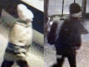 Investigators need help identifying two suspects – a man and a woman – sought in an investigation into "multiple pickpocket-style" thefts in the downtown core.