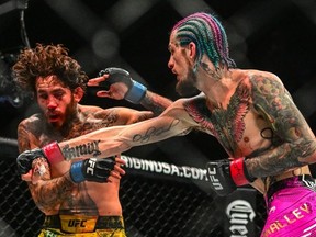 Current champion USA's Sean O'Malley (R) fights Ecuador's Marlon Vera during their UFC Bantamweight Championship bout at the Kaseya Center in Miami, Florida, on March 9, 2024.