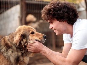 Side view of cheerful man with curly hair caressing furry dog at animal shelter.