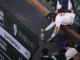 A beekeeper sprays a bee during an interruption in play in a quarter-final match between Carlos Alcaraz of Spain and Alexander Zverev of Germany at the BNP Paribas Open tennis tournament, Thursday, March 14, 2024, in Indian Wells, Calif.