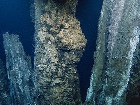 Ocean Network Canada's seafloor observatory NEPTUNE on March 6 detected a peak of 200 small earthquakes per hour, within the Endeavour Hydrothermal Vents Marine Protected Area, off Vancouver Island. This high rate of seismic activity hasn't been observed there in 20 years.