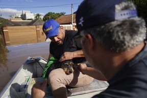 People rescue a dog named Maia from a flooded area after heavy rain in Canoas, Rio Grande do Sul state, Brazil, Thursday, May 9, 2024. (AP Photo/Carlos Macedo)