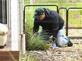 A detective searches the property of Erin Patterson in Leongatha, Australia, Thursday, Nov. 2, 2023.