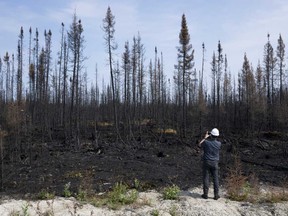 A reporter takes a photo of trees damaged by fire during a tour near Lebel-sur-Quevillon, Quebec on Wednesday, July 5, 2023.