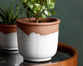Artisanal terracotta planter