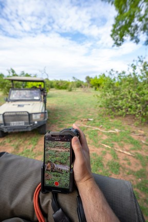 Using the Swarovski Optik phone adapter to capture the perfect photo.