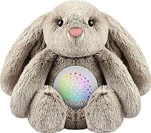  Berest Sleeping Families White Noise Machine