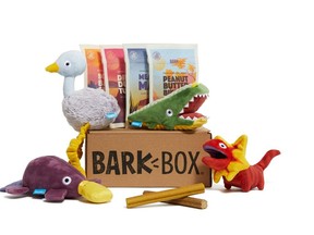 barkboxx.jpg