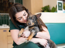 Dr. Bianca Ferlisi shares tips for keeping pets safe this summer.