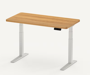 Flexispot E7 Pro Standing Desk