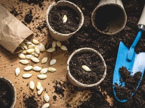 Start your plants inside with these grow kits.