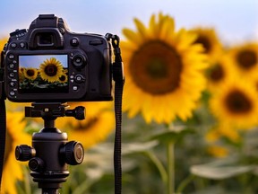 Top digital cameras for new to intermediate photographers.