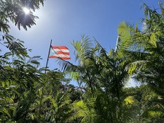 The Puerto Rican flag