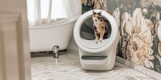 litter robot 4 review, whisker litter robot 4 in white