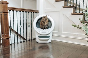 whisker litter robot 4 review, litter robot in use on a hardwood floor
