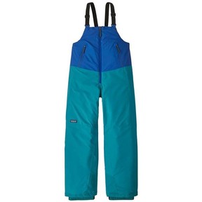 Patagonia Snow Pants