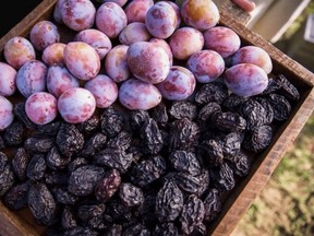 The benefits of prunes for a healthy diet