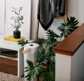 Chemical-free home