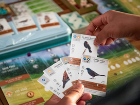 Wingspan board game.