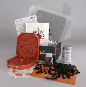 Curiosity Box.